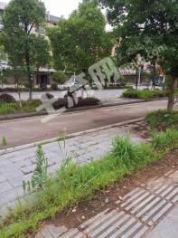 岳阳平江县144平方米城镇住宅用地使用权出让