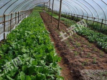 郴州桂东县 8.68亩 其它耕地 出租