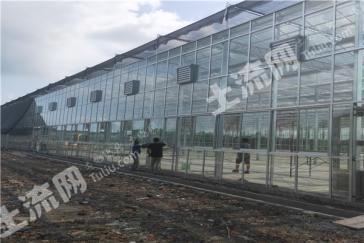 郴州桂东县 19.14亩 旱地 经营权出租