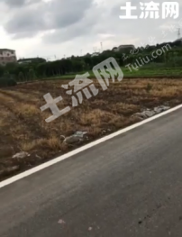 金华金东区 100亩 水田 经营权出租