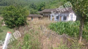 绵阳盐亭县 巨龙镇400平米 农家庭院使用权 流转