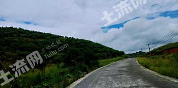 黔南独山县 157.43亩 果园 转让