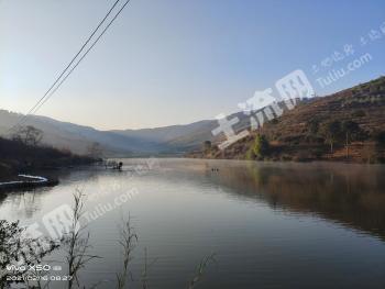 红河建水县 48.77亩 坑塘 使用权出租