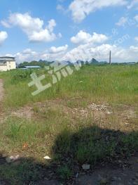 桂林象山区 161.91亩 荒地 出租