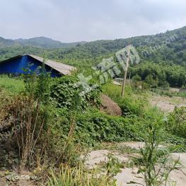 九江彭泽县50亩畜牧养殖用地经营权出租