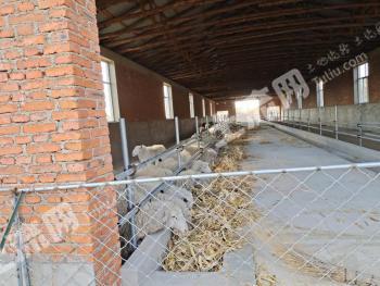 呼伦贝尔扎兰屯市 100亩 设施农用地经营权 出租