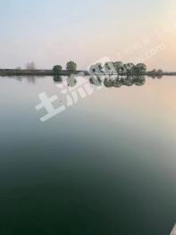 苏州常熟市 98亩 坑塘水面 经营权出租