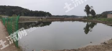 绵阳涪城区 50亩 坑塘水面 经营权转包