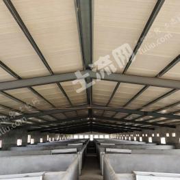 沧州盐山县 40亩 畜牧养殖用地 经营权转让