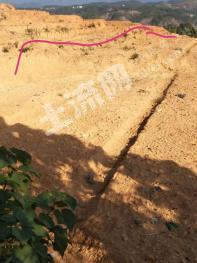 九江修水县 37亩 人工牧草地 经营权合作