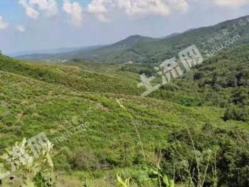 辽宁丹东500亩公墓用地使用权转让