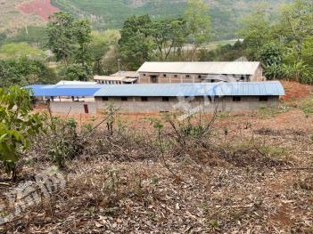 临沧耿马傣族佤族自治县 10.52亩城镇住宅用地（仓储、厂房、养殖）使用权 转让