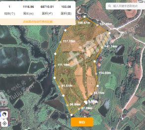 常德津市市 133亩 乔木林地 经营权转让