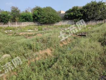 厦门翔安区 5.59亩 空闲地 使用权出租