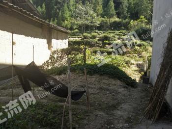 福建宁德 90平米 农村宅基地 使用权出租