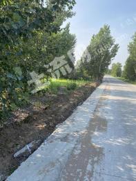通辽开鲁县2000亩林地-有林地经营权转让