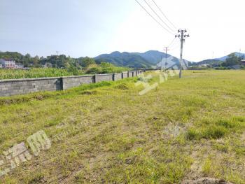 黄冈英山县 16亩 设施农用地 经营权出租