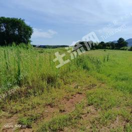 九江彭泽县300亩其它耕地经营权出租