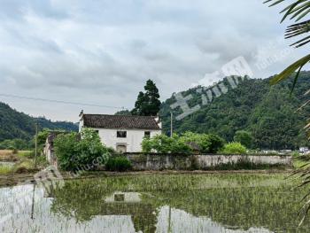 黄山黄山区 2100平米 农家庭院  使用权合作