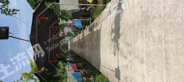 广安邻水县 54.36亩 果园 经营权出租