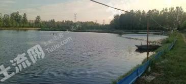 宿迁宿豫区 100亩 坑塘水面 经营权转让