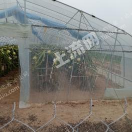 盐城射阳县 20亩 水浇地 经营权出租