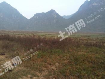 贺州平桂区 244.51亩 有林地经营权 出租