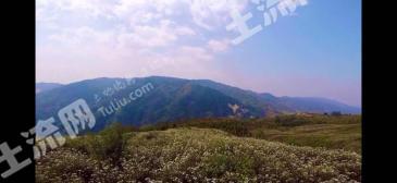 德宏盈江县1000亩澳洲坚果基地转让