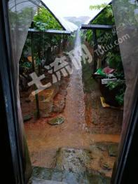 岳阳平江县 5.33亩 果园 出租