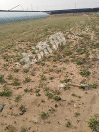 唐山滦南县8.3亩其它园地经营权转包