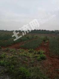 宜春樟树市 1200亩 旱地 经营权转让或出租