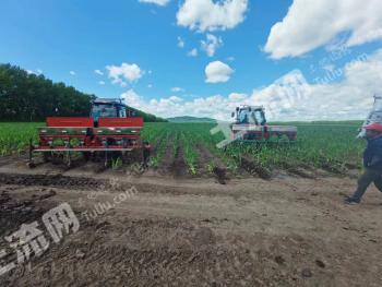 哈尔滨方正县 45亩 旱地 经营权转让