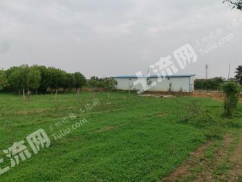 焦作山阳区28.34亩农场经营权转让