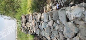 银川西夏区 400亩 其它林地经营权 转让