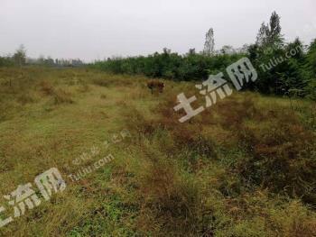 西安周至县 28.82亩 工业用地 使用权出租