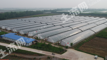 运城永济市116.77亩坑塘经营权转让