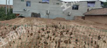 咸阳旬邑县 425平米 农村宅基地 使用权出租