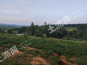 阜新阜新蒙古族自治县 50亩 果园 经营权转让