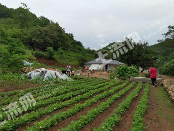丹东凤城市 6728亩 农村宅基地 使用权合作