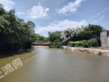 阳江江城区 8.05亩 农场 使用权出租