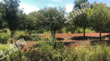 咸宁崇阳县 67069平米 综合用地 招拍挂