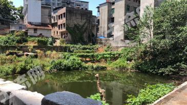 咸宁崇阳县 3885平米 综合用地 招拍挂