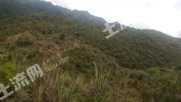 文山广南县 645.35亩 荒地 使用权出租