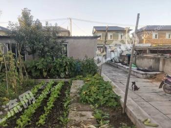 盘锦大洼区315平米农家庭院经营权合作