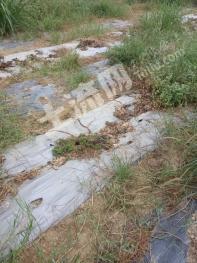 赣州瑞金市94亩菜园经营权出租