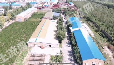 吕梁汾阳市13.33亩养殖用地-设施农用地出租