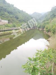 十堰张湾区50亩畜牧养殖用地经营权合作