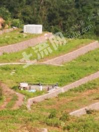 浙江杭州 65亩 其它林地 经营权转包