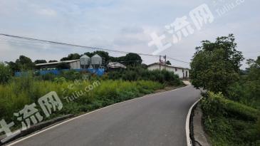 乐山犍为县15.09亩畜牧养殖用地经营权转让