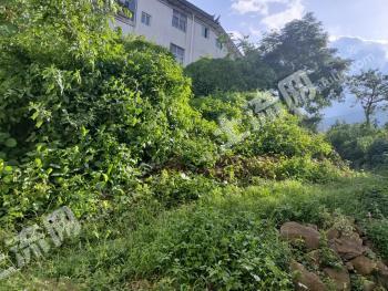 大理大理市333平方米農(nóng)村宅基地使用權出租